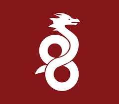 سرویس وایرگارد